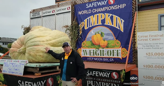 Pumpkin festival’s biggest champion weighs 2,560 pounds