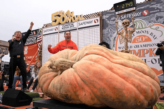 Minnesota Man Smashes World Record with 2,749-Lb. Pumpkin: ‘It Was Quite the Feeling'
