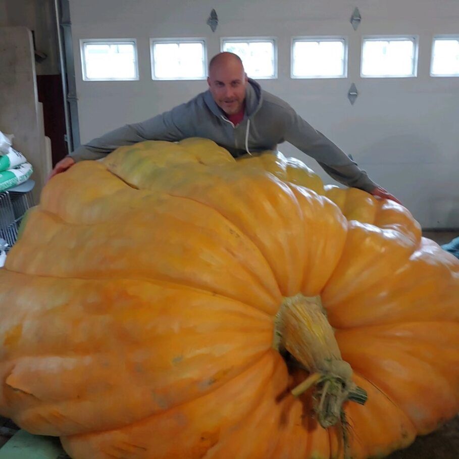 Godzilla Pumpkin Seed for Sale | Giant 2,222lb Masterpiece – Great