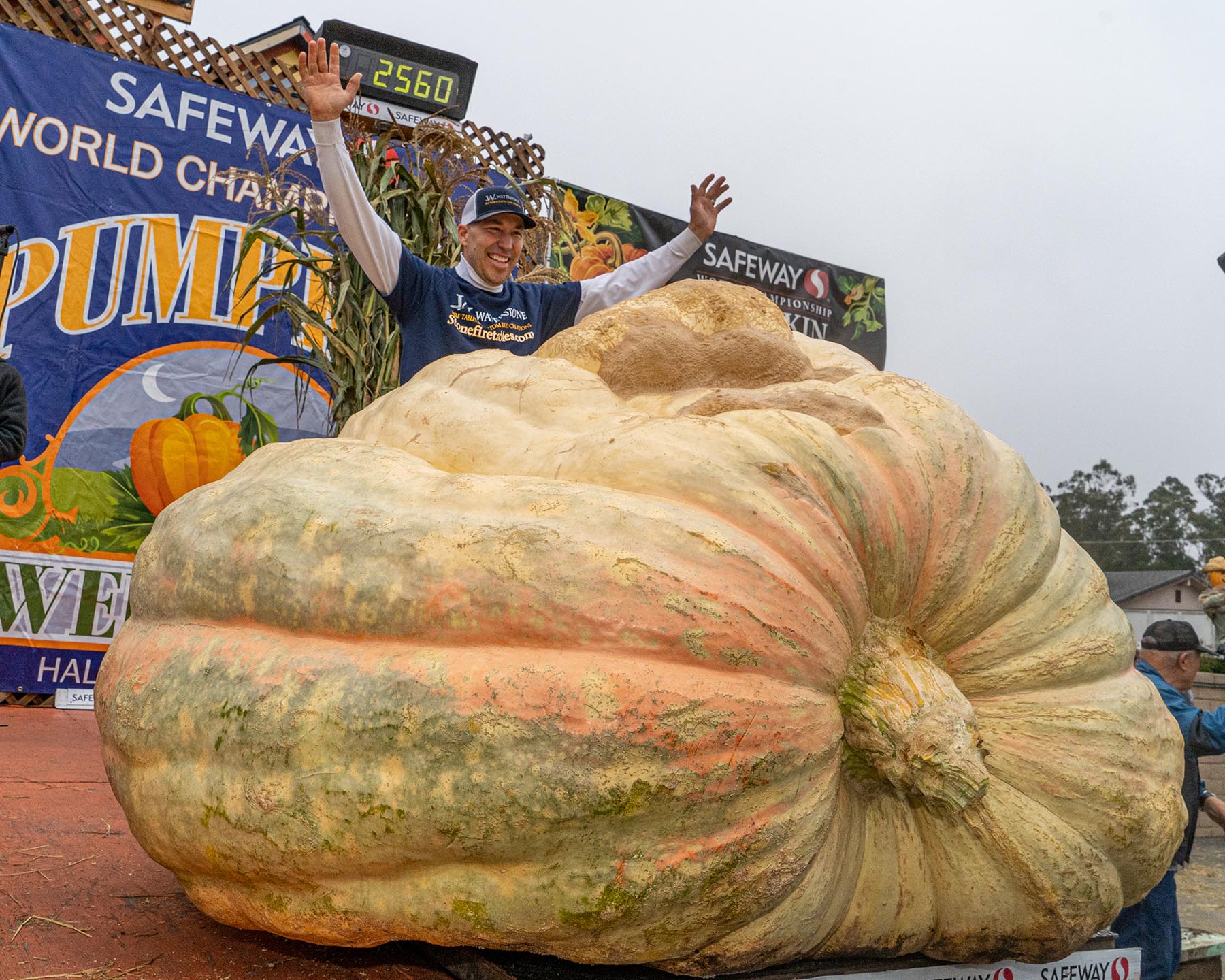 Buy Maverick Pumpkin Seeds | World Record Giant Pumpkins by Travis