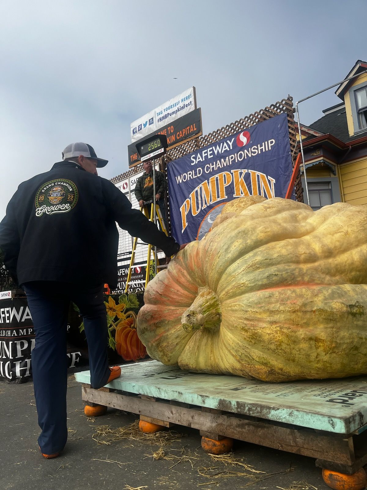 Buy Maverick Pumpkin Seeds | World Record Giant Pumpkins by Travis
